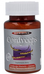 Meridian Cordyceps kordyceps, 60 kapsułek