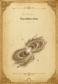 pl-sample-1.png