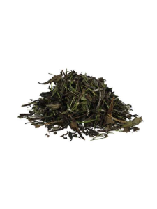 Biała herbata Pai Mu Tan, 500 g