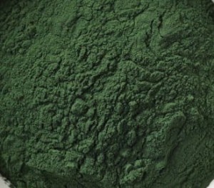 Spirulina sproszkowana - wysuszone glony, algi morskie, 250 g