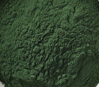 Spirulina sproszkowana - wysuszone glony algi morskie 250g.