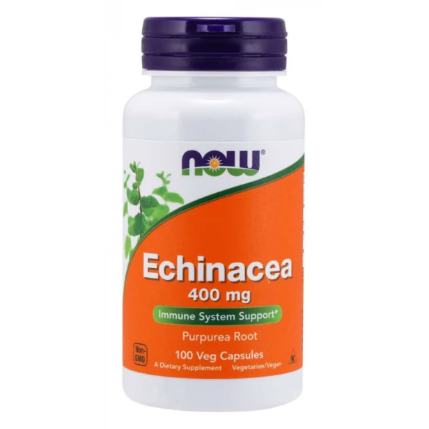Now Foods echinacea jeżówka purpurowa 100 kapsułek