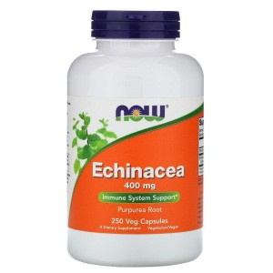 Now Foods Echinacea jeżówka Purpurowa 400 mg, 250 kapsułek