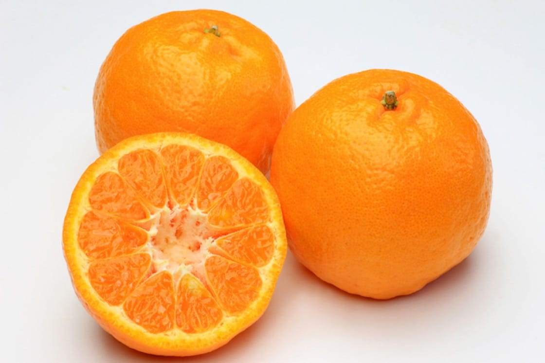 Pomarańcza słodka ( pomarańcza chińska)