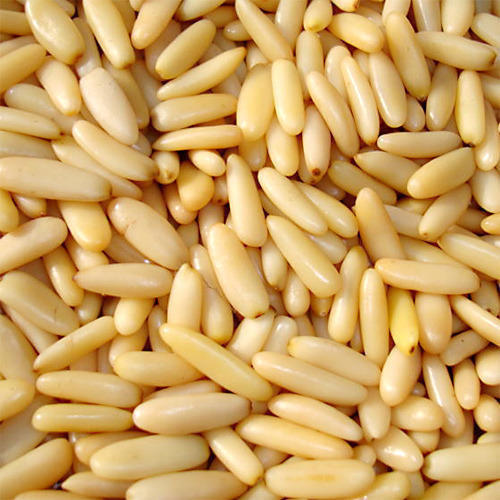 Nasiona sosny