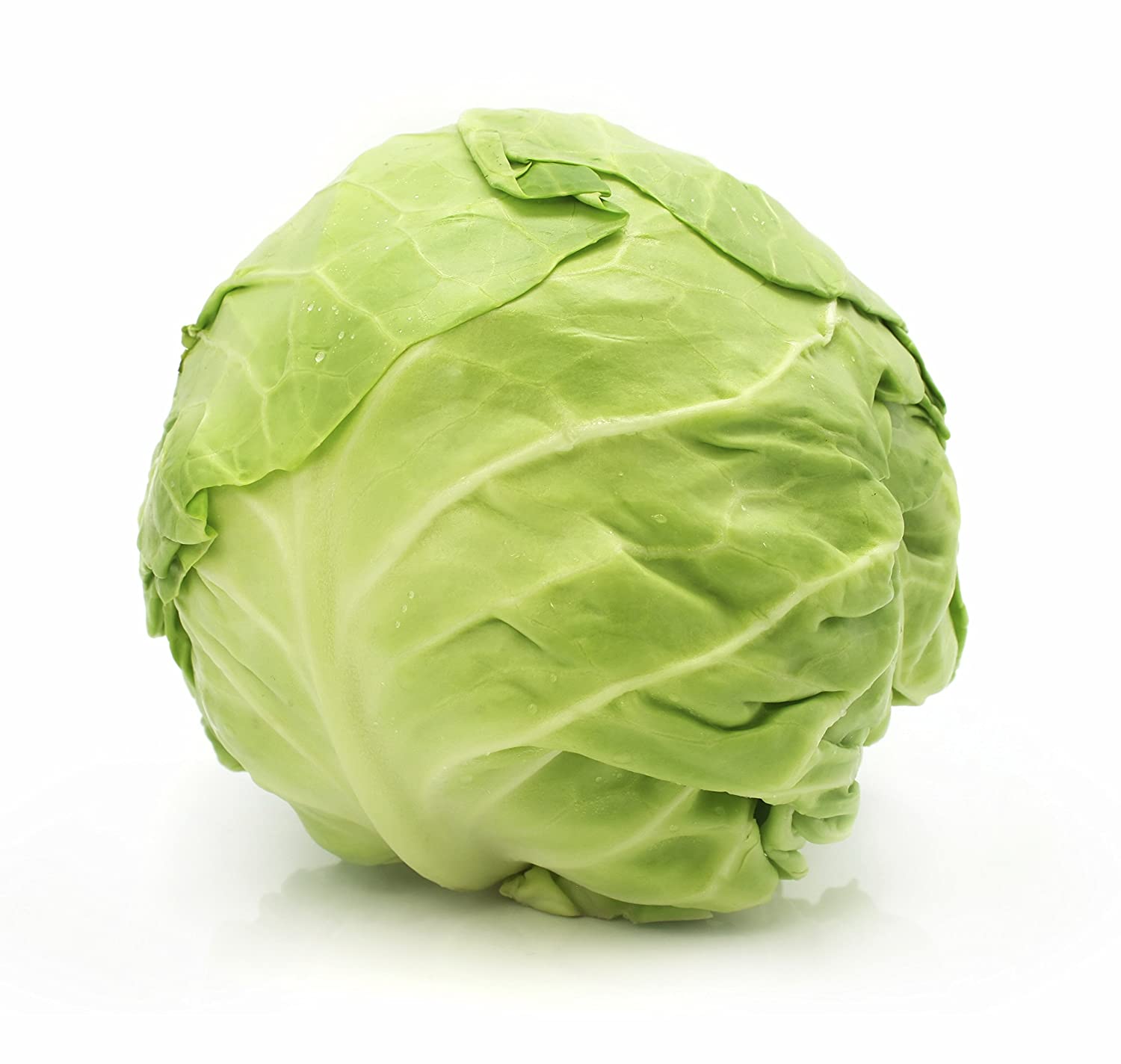 Kapusta